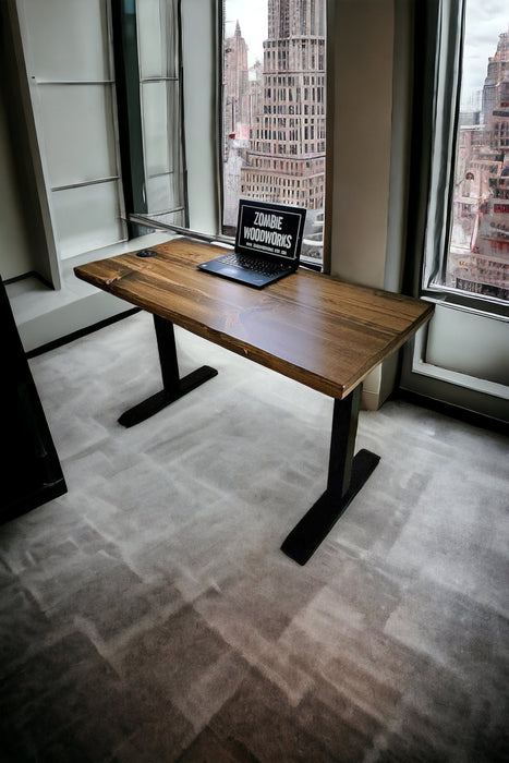 Sit Stand Desk with Electric Stand