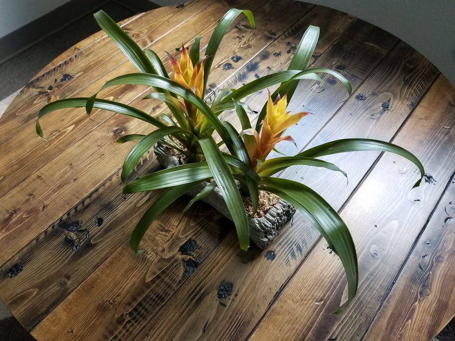 Reclaimed Distressed Round Dining Table. Heavy Duty Iron Pipe legs. Choose size and height.