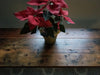 Clearance Sale! Reclaimed Distressed Sofa table made with Hairpin legs made. Lots of Character.